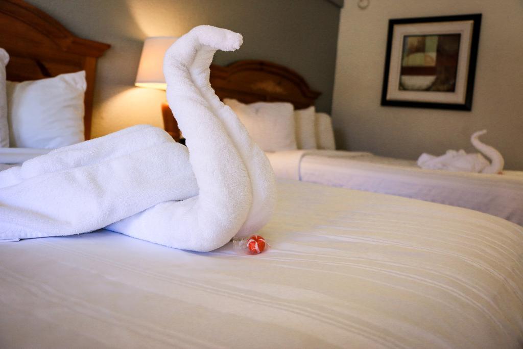 Suite Dreams Hotel Mattoon Luaran gambar