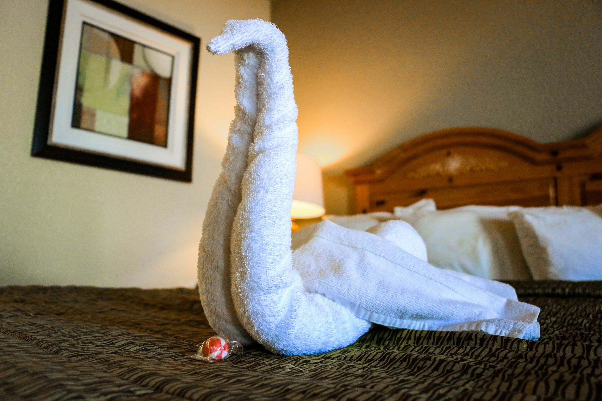 Suite Dreams Hotel Mattoon Luaran gambar