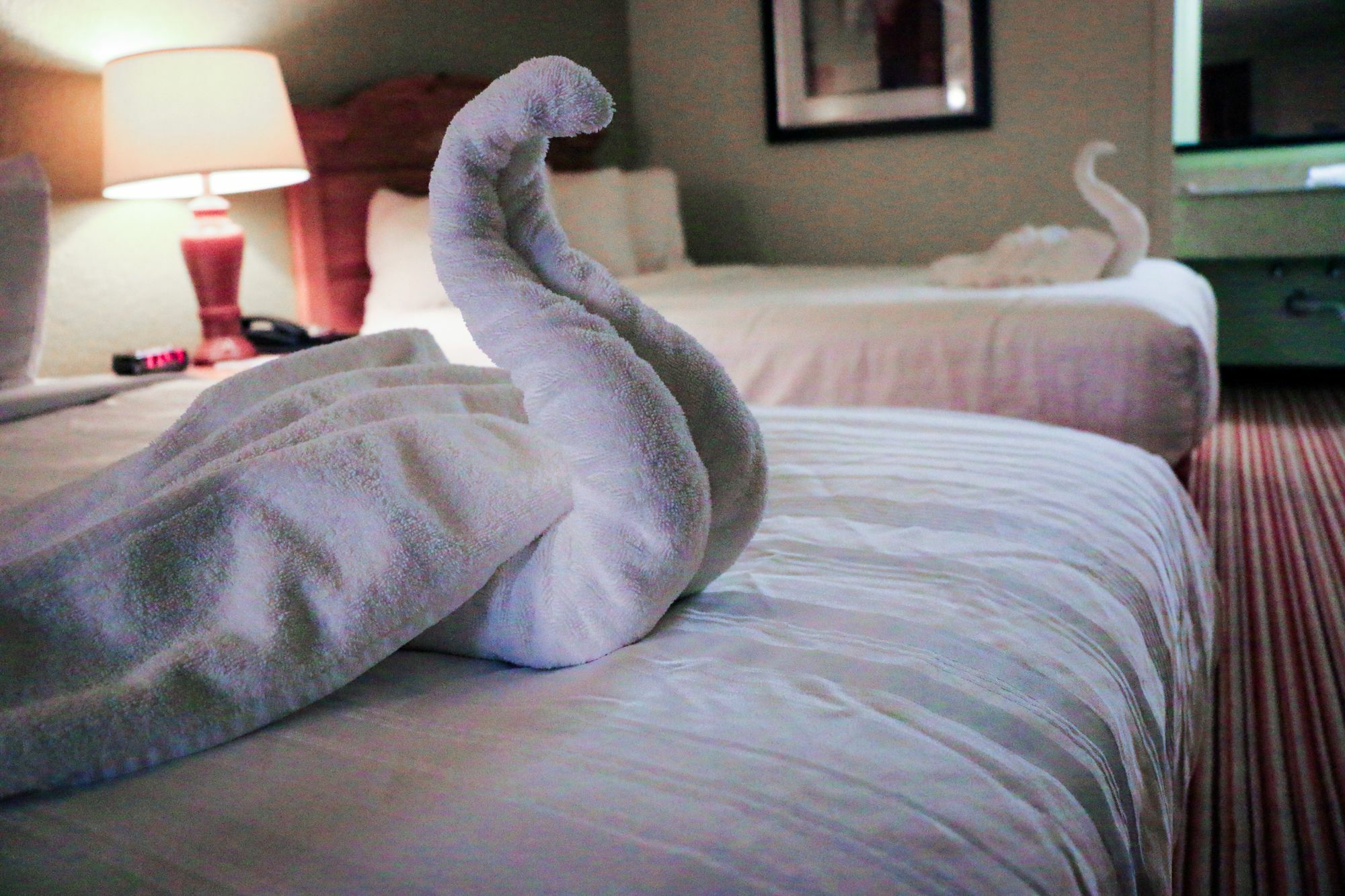 Suite Dreams Hotel Mattoon Luaran gambar